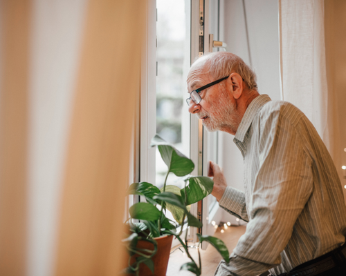 Oficina Defensa del Mayor León